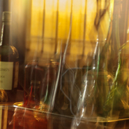 Swayze Cà d'Zan-crop